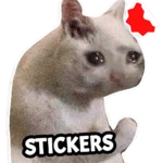 Logo of Cat Memes Stickers WASticker android Application 